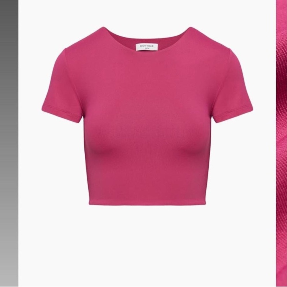 Aritzia Babaton contour Crew Crop Tee